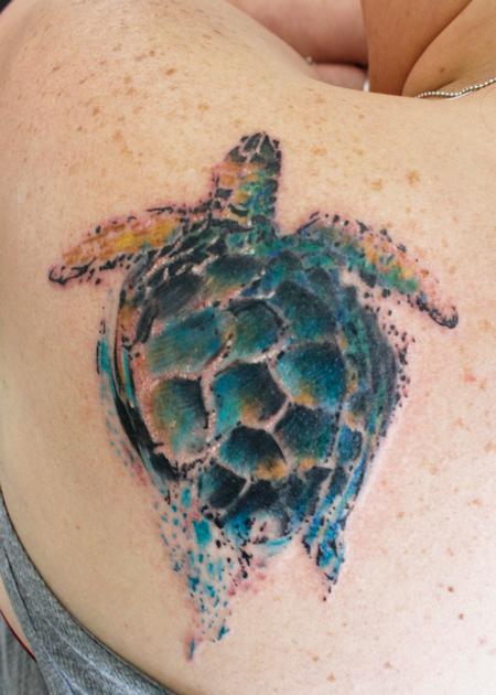 Steve Phipps - Sea Turtle